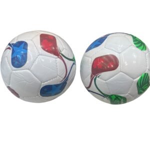 PELOTA AFA N2 小足球